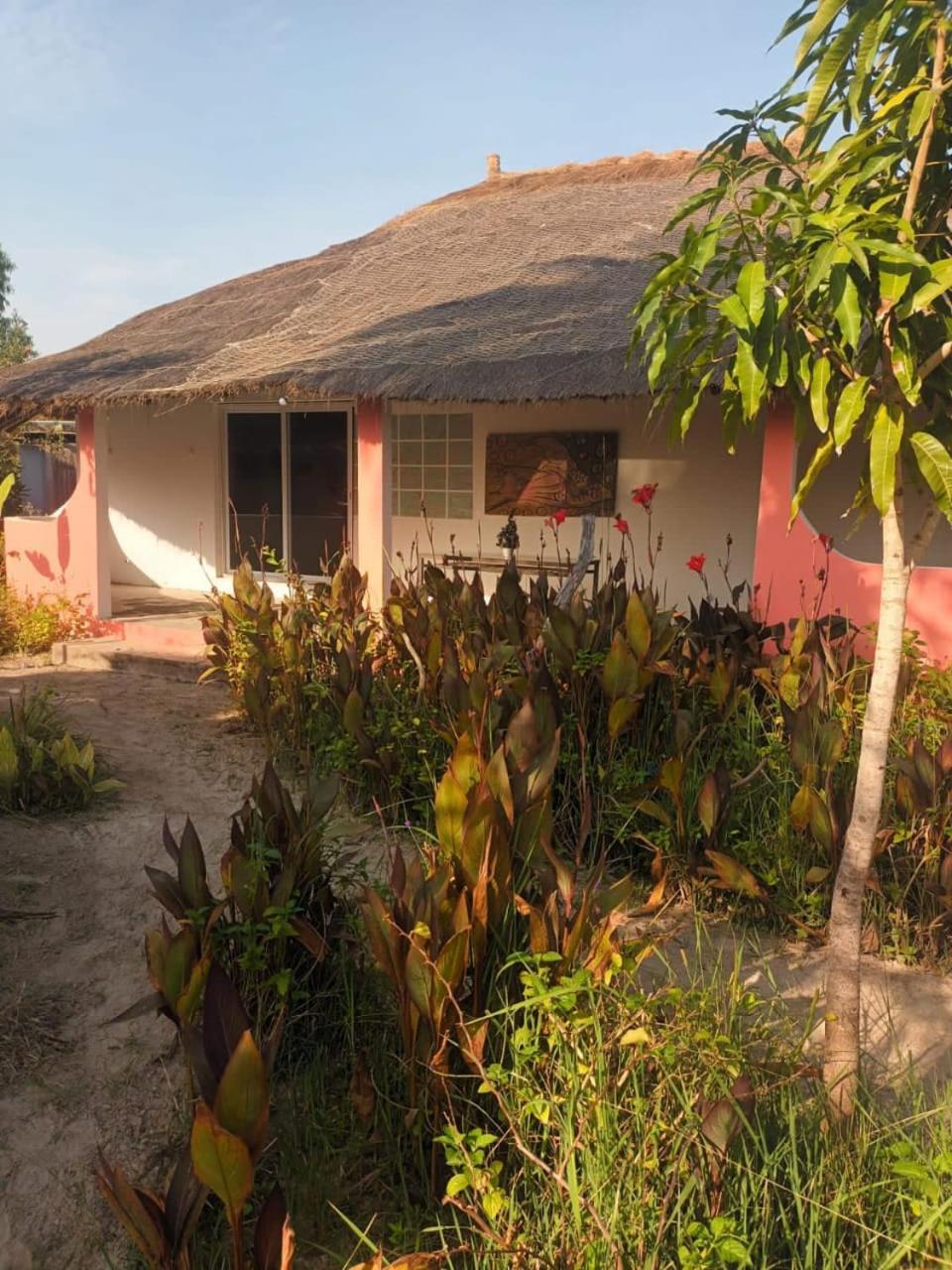 Campement Graine De Paradis Kachiouane Eksteriør billede