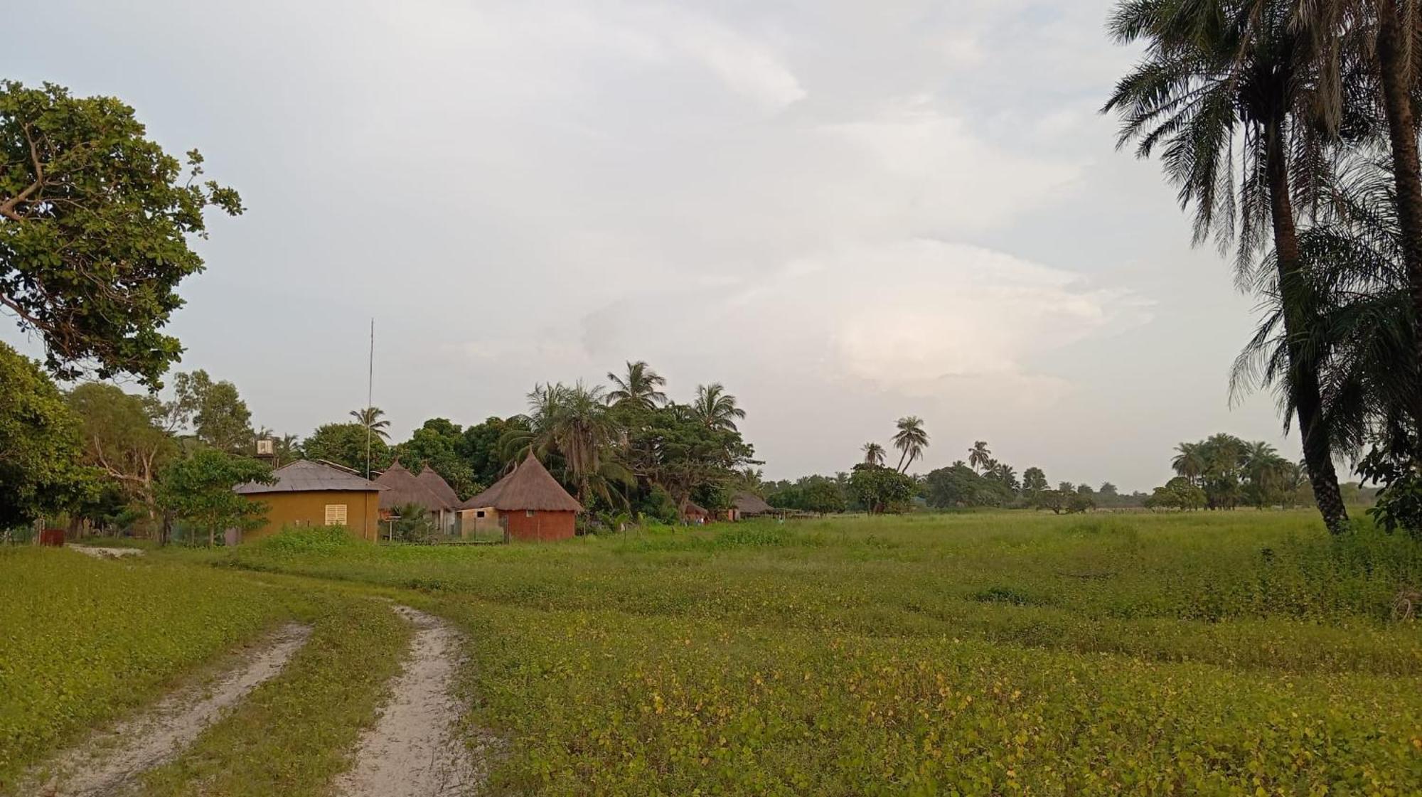 Campement Graine De Paradis Kachiouane Eksteriør billede